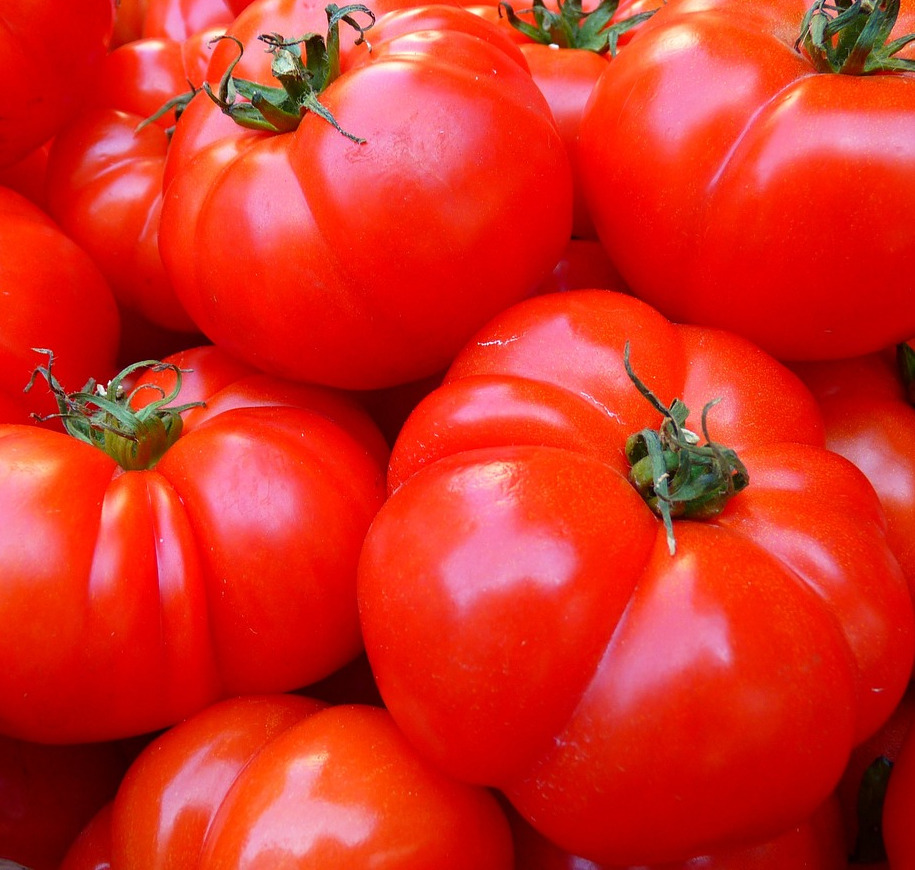 Juicy red tomatos
